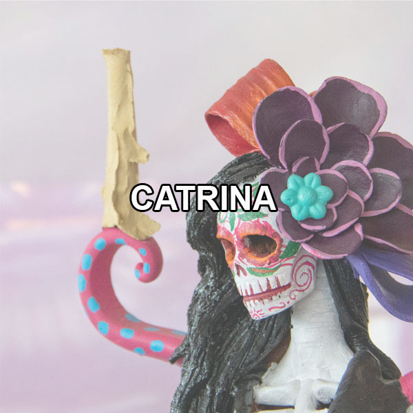 Disfraces Catrina y Dia de los Muertos